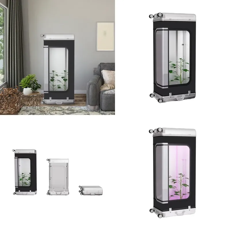 New Foldable Vertical Hydropon - Smart Garden Vertical ulasan dan harga
