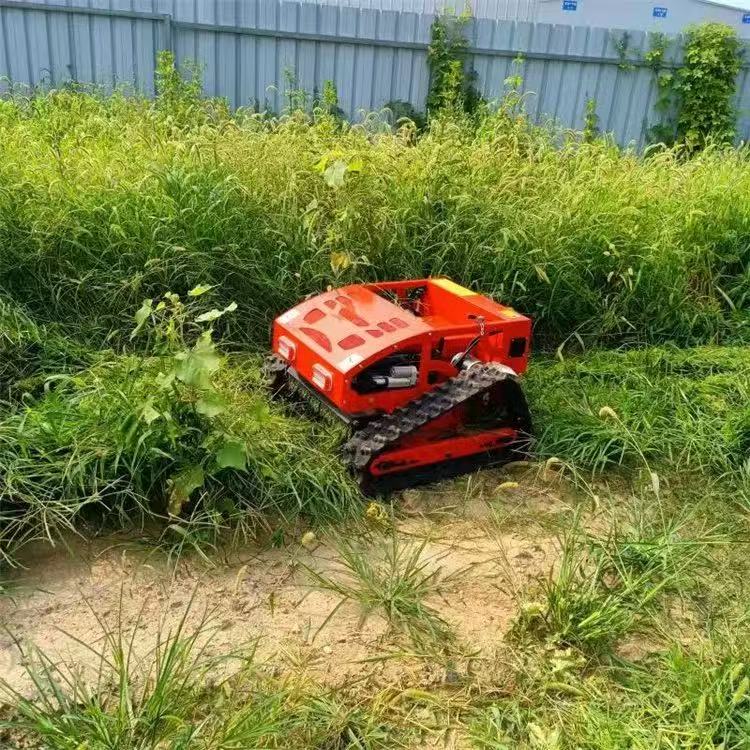 Smart Remote Control Rotatin W - Smart Garden Trimmer ulasan dan harga