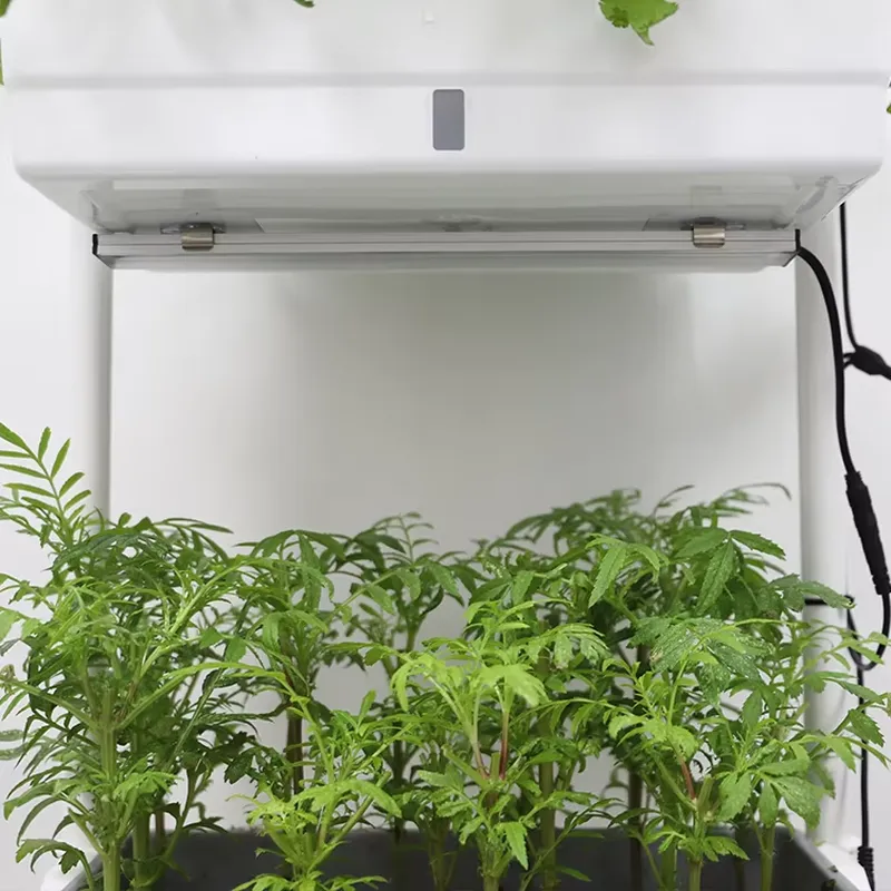 Movable Vertical Grow 3 Level  - Smart Garden Vertical ulasan dan harga
