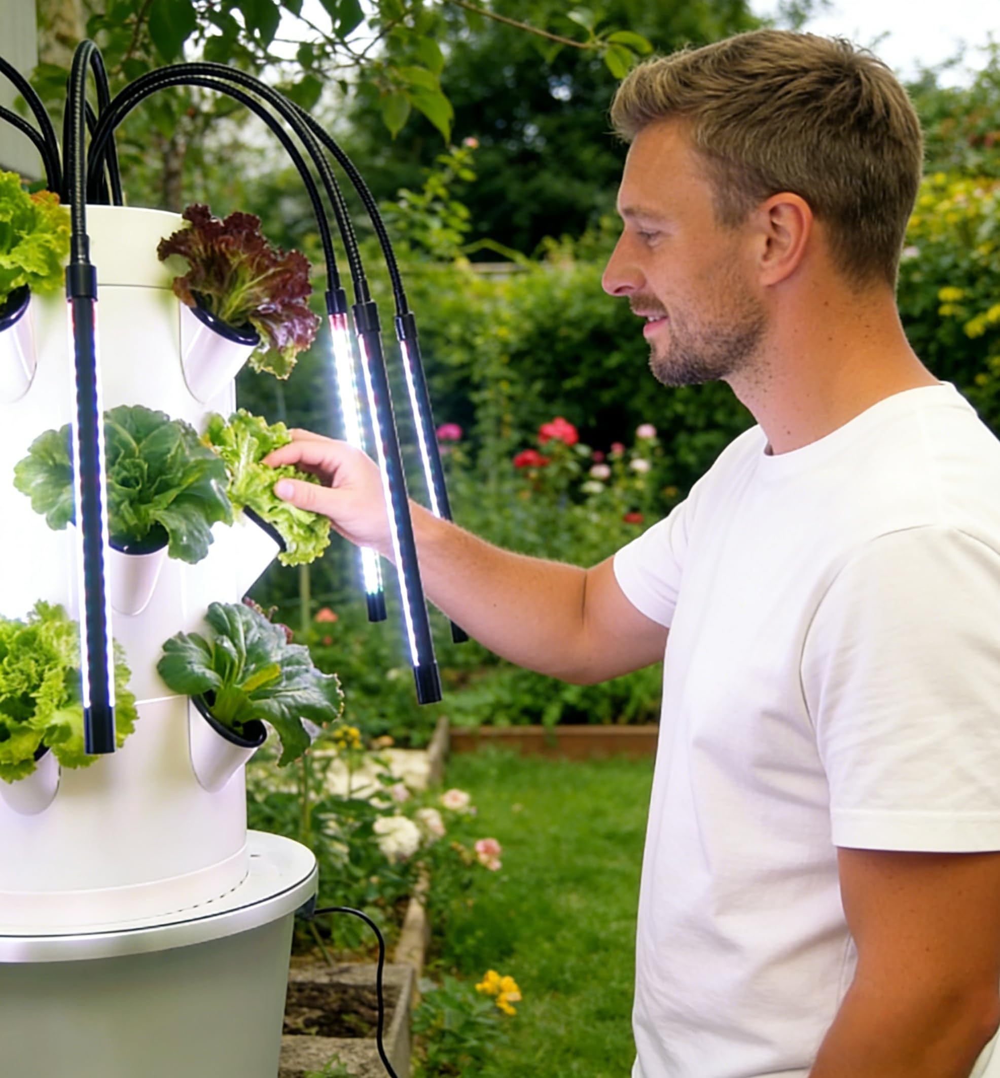 Vertical Hydroponic Growing Sy - Smart Garden Vertical ulasan dan harga