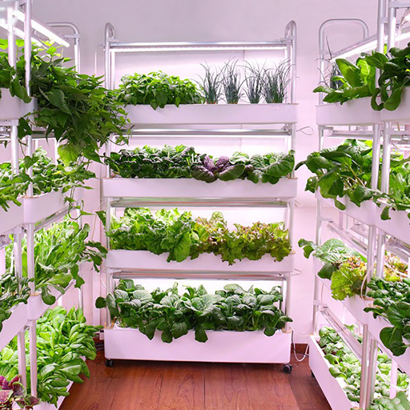 Hydroponics Growing System Ver - Smart Garden Vertical ulasan dan harga