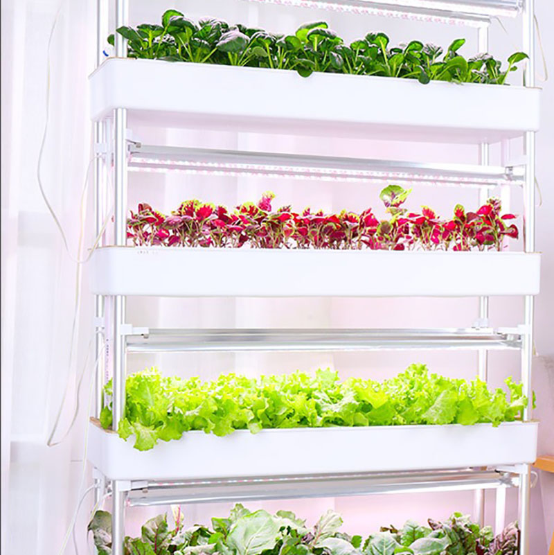 Hydroponics Growing System Ver - Smart Garden Vertical ulasan dan harga