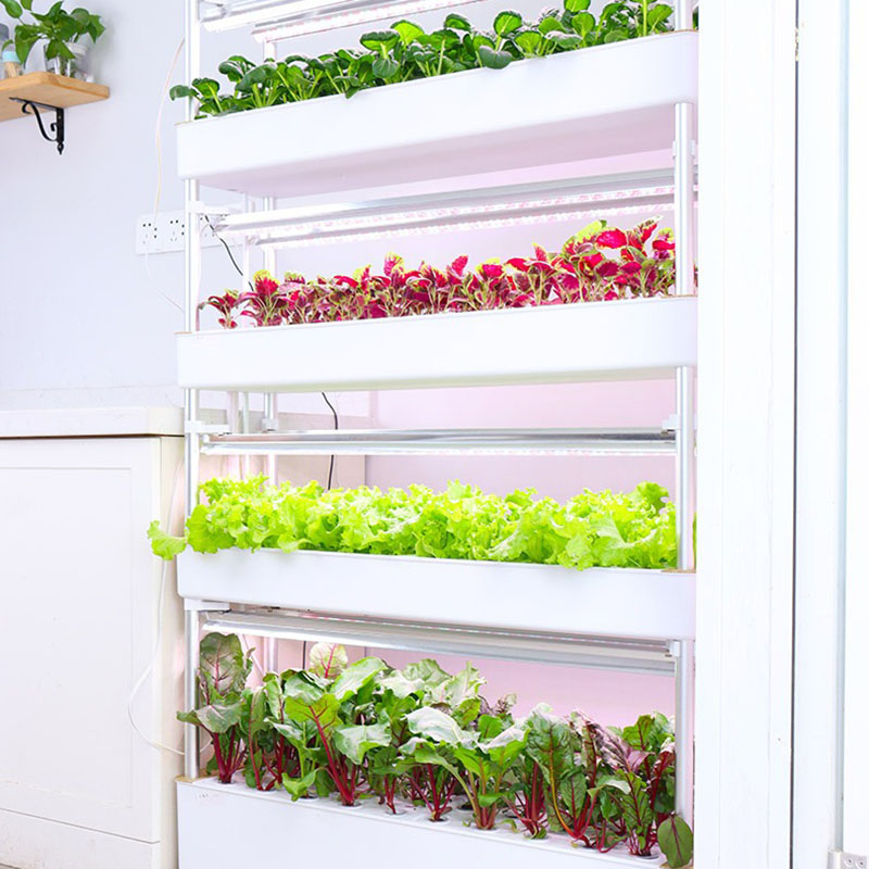 Hydroponics Growing System Ver - Smart Garden Vertical ulasan dan harga