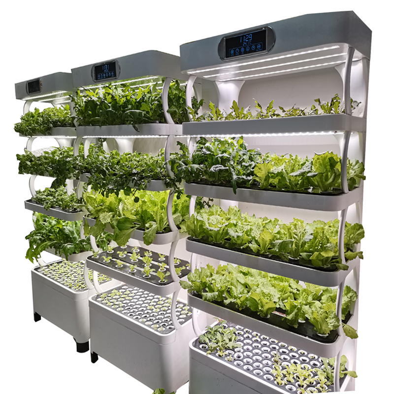 Indoor Smart Low Cost Hydropon - Smart Garden Vertical ulasan dan harga