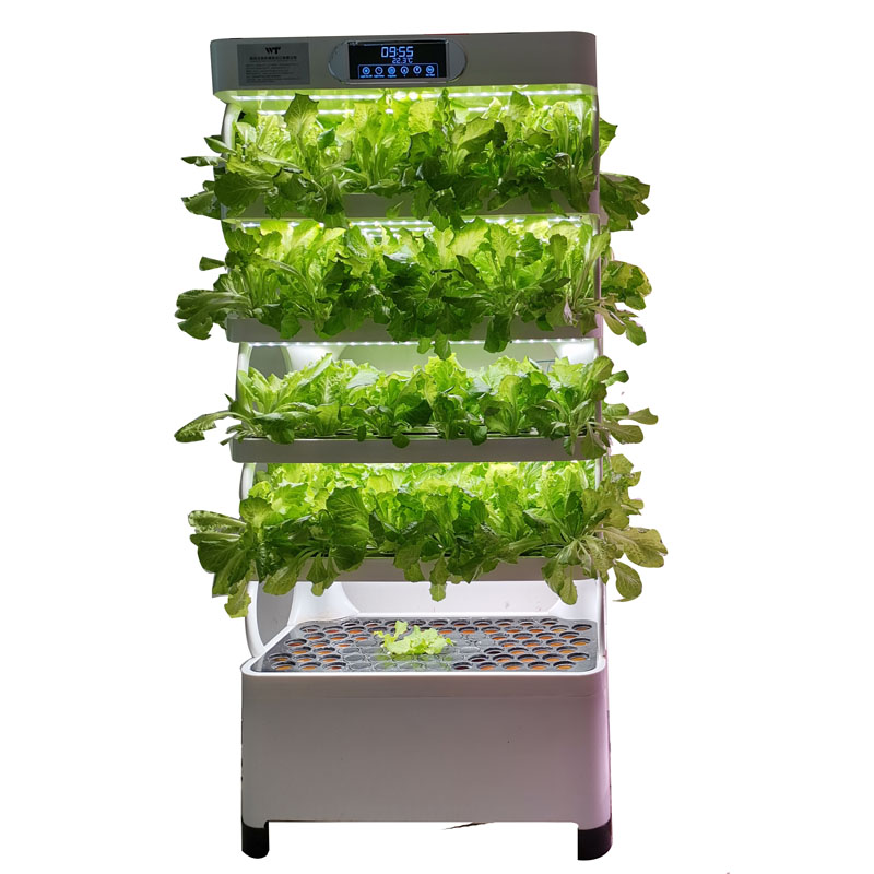 Indoor Smart Low Cost Hydropon - Smart Garden Vertical ulasan dan harga