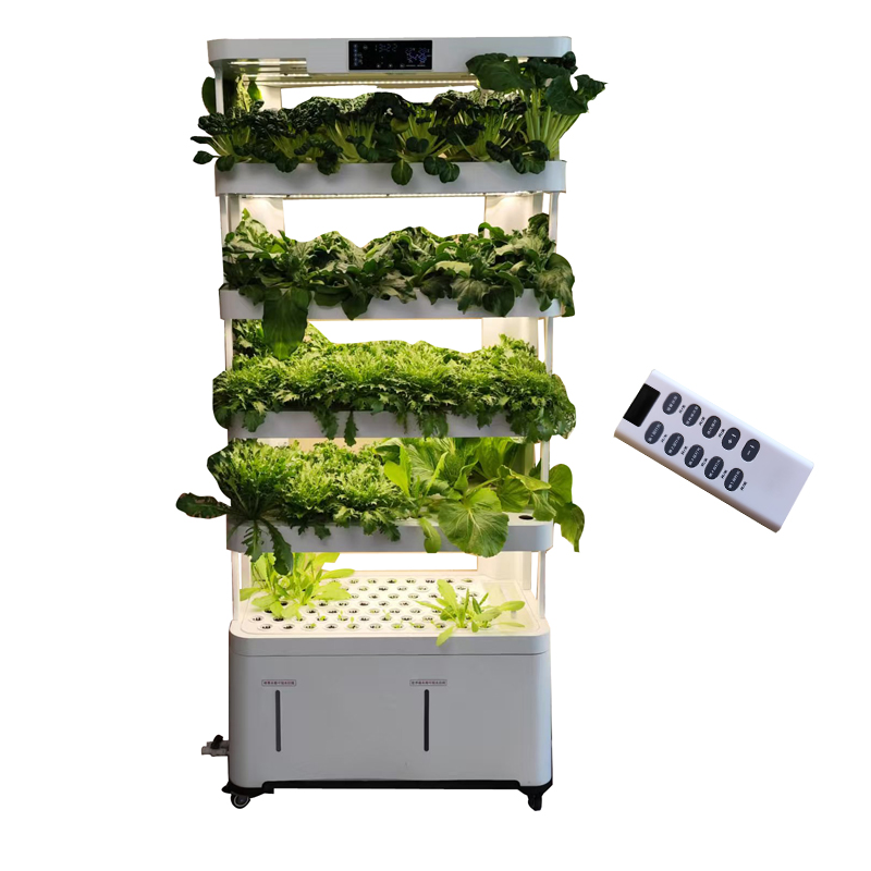 Indoor Smart Low Cost Hydropon - Smart Garden Vertical ulasan dan harga