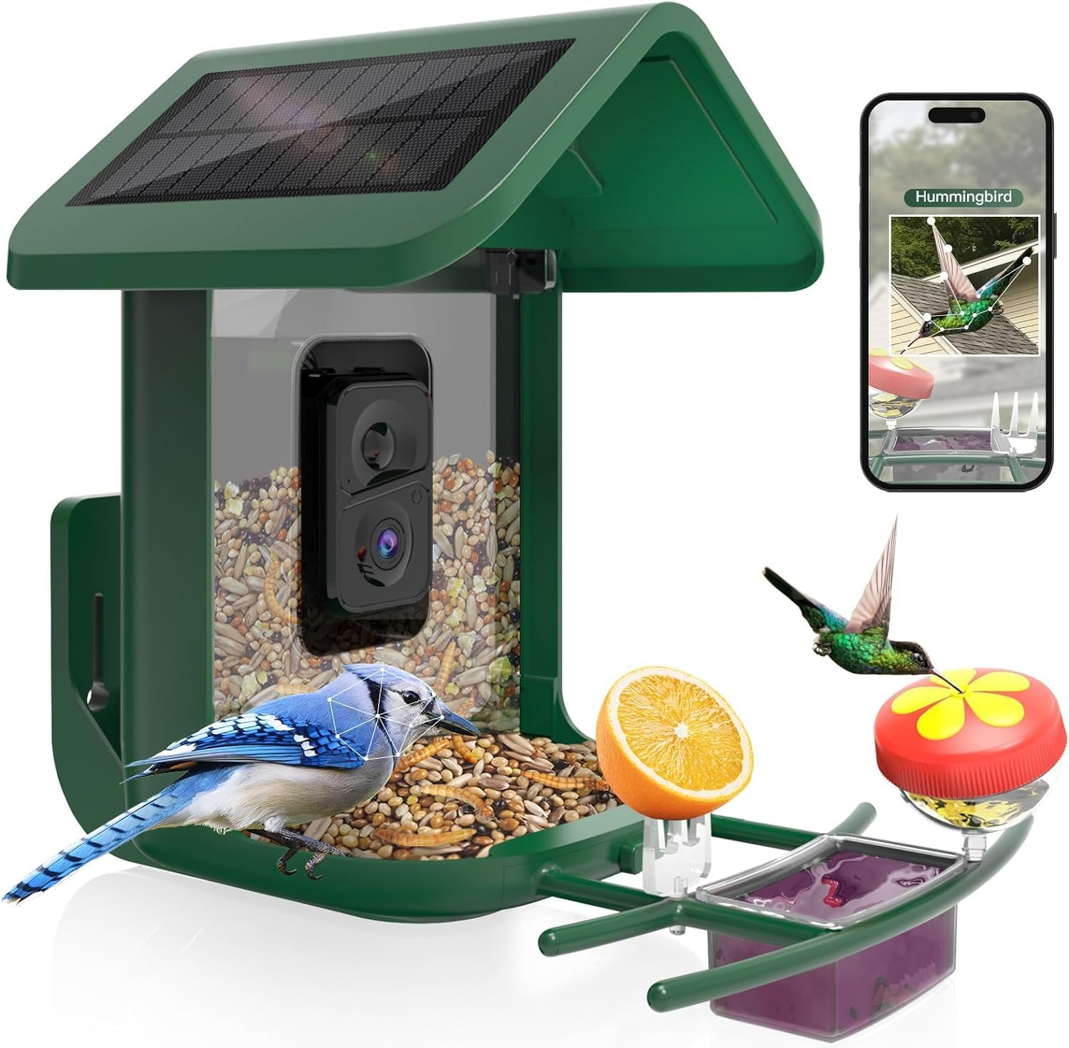 Smart Bird Feeder with Camera  - Smart Bird Feeder Camera ulasan dan harga