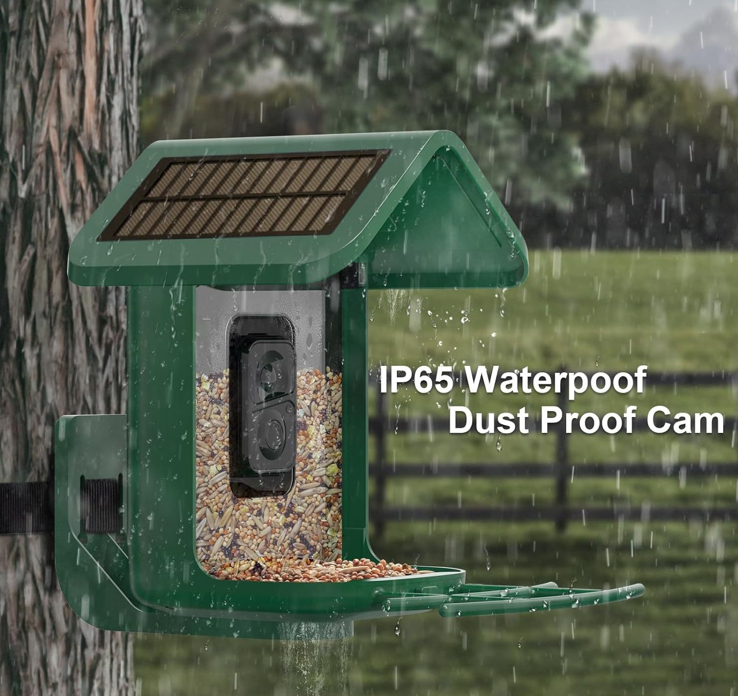 Smart Bird Feeder with Camera  - Smart Bird Feeder Camera ulasan dan harga