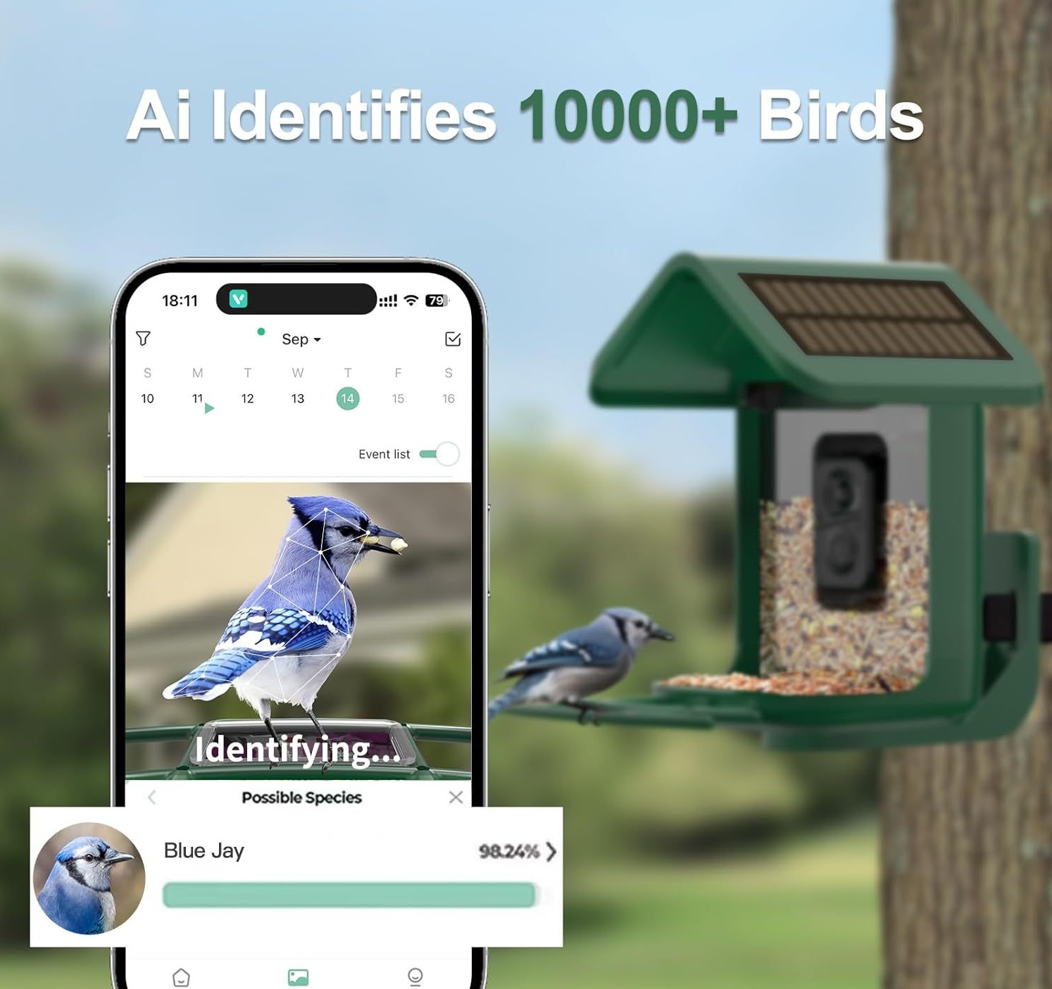 Smart Bird Feeder with Camera  - Smart Bird Feeder Camera ulasan dan harga