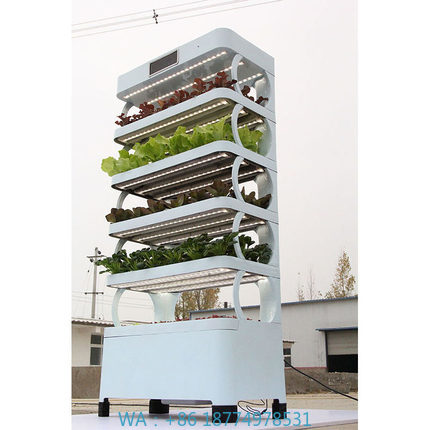 arming Home Hydroponic Growing - Smart Garden Vertical ulasan dan harga