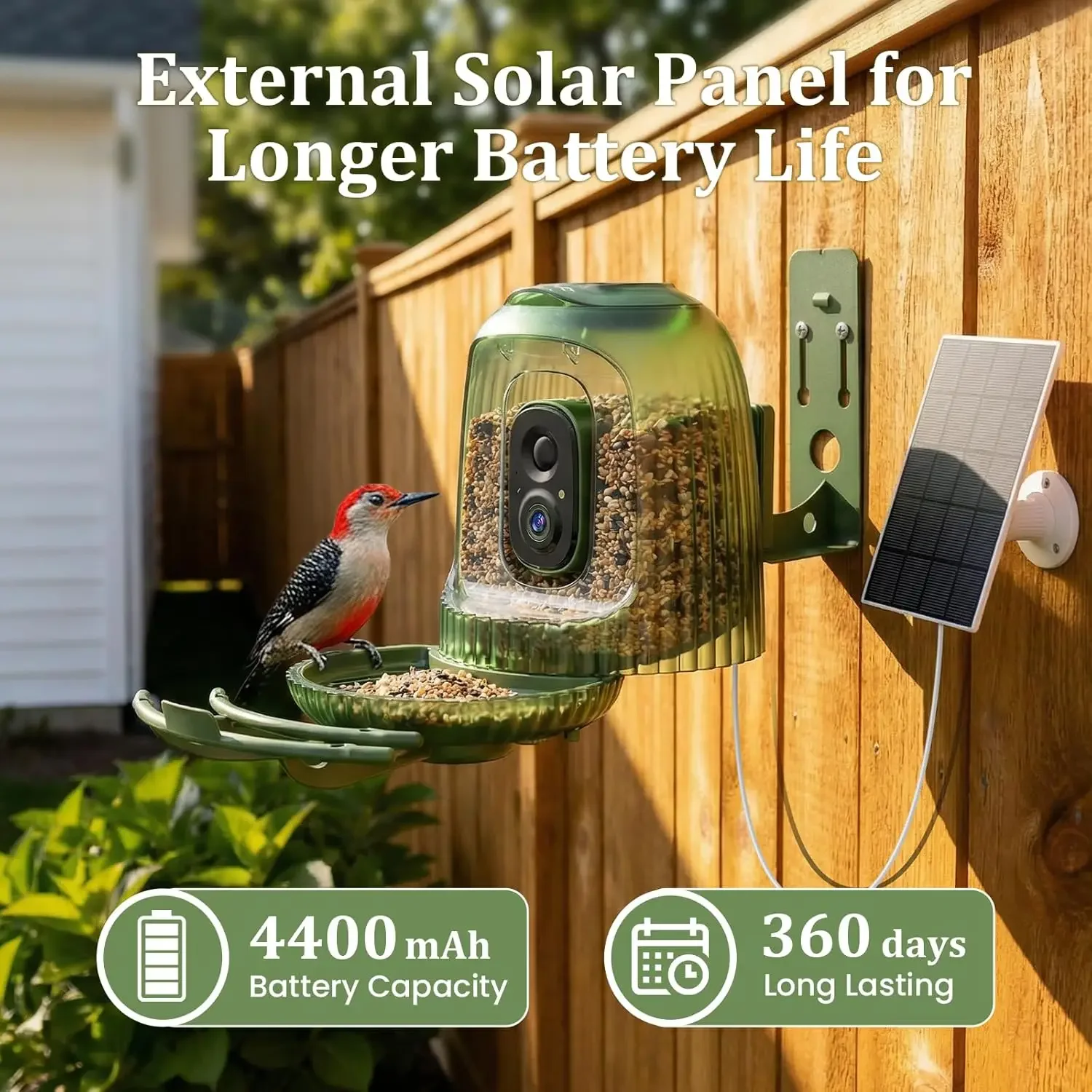 Smart Bird Feeder 4MP Camera A - Smart Bird Feeder Camera ulasan dan harga