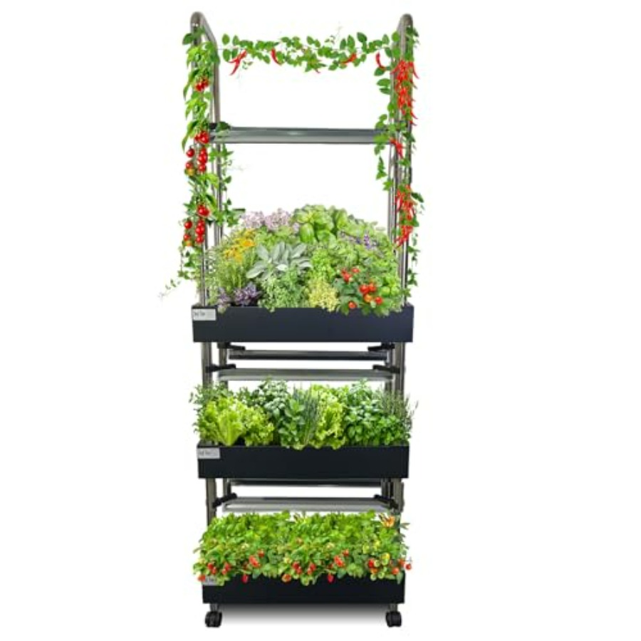 Indoor hydroponics growing sys - Smart Garden Vertical ulasan dan harga