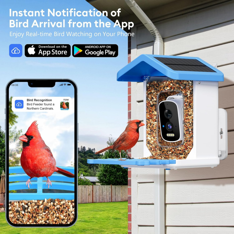 WiFi Smart Bird Feeder with Ca - Smart Bird Feeder Camera ulasan dan harga