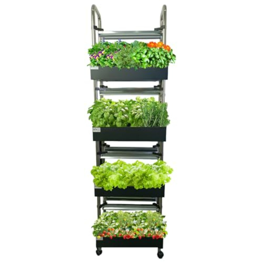 Indoor hydroponics growing sys - Smart Garden Vertical ulasan dan harga