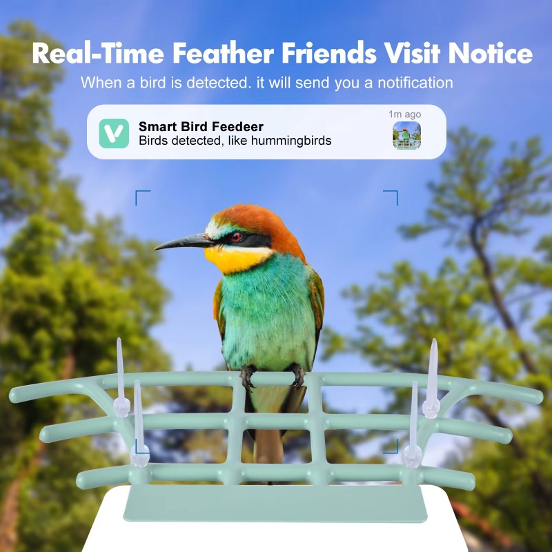 Smart Bird Feeder Night Vision - Smart Bird Feeder Camera ulasan dan harga