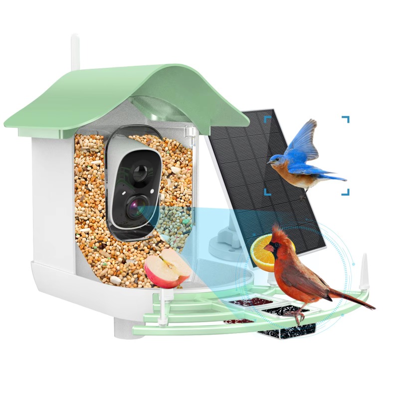 2026 App Video Auto Capture Ca - Smart Bird Feeder Camera ulasan dan harga