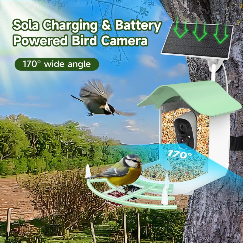 2026 App Video Auto Capture Ca - Smart Bird Feeder Camera ulasan dan harga
