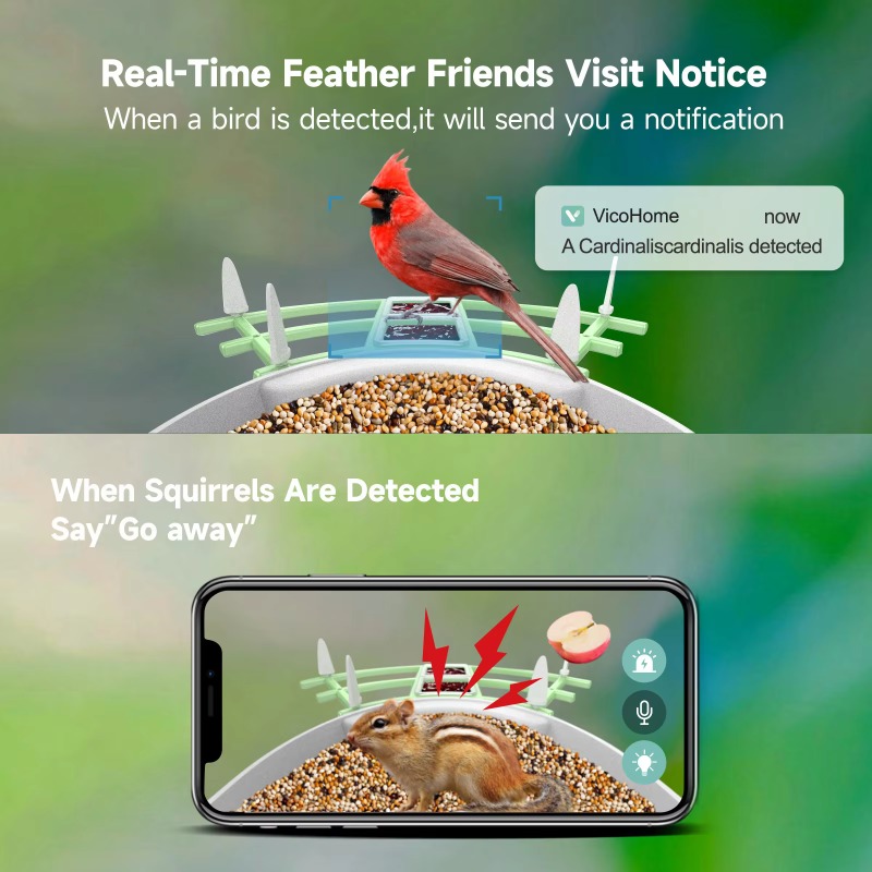 2026 App Video Auto Capture Ca - Smart Bird Feeder Camera ulasan dan harga
