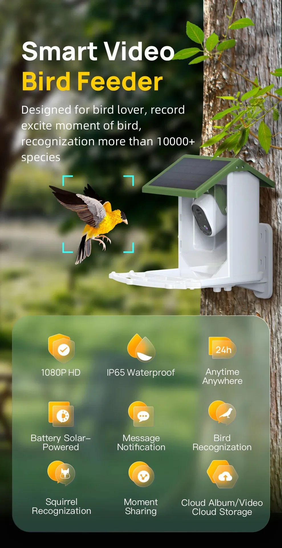 Hot Selling Cross border wild  - Smart Bird Feeder Camera ulasan dan harga